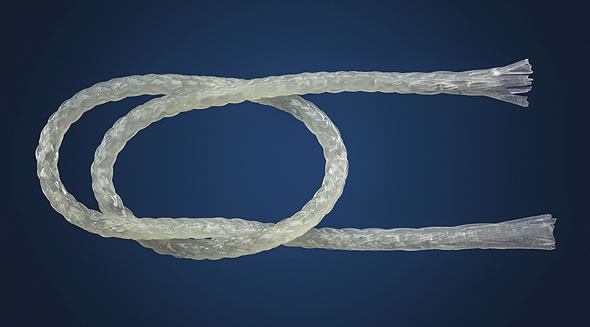 fsm fibers